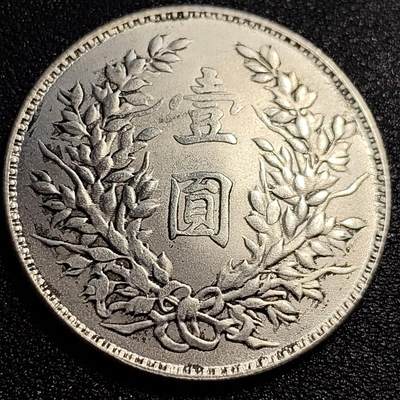 泉币菌-第57场-各国散币场 - 银色纪念章 袁世凯像 39×2.4 无任何性质