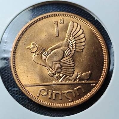 KK钱币收藏小铺 第310期 2月预留时间 周末发货 - 1968爱尔兰1便士 母鸡铜币 好品