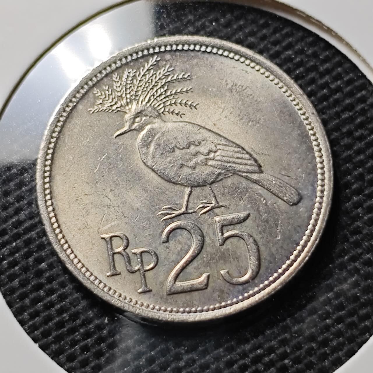 KK钱币收藏小铺 第310期 2月预留时间 周末发货