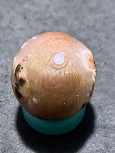 精美亚光原皮冰飘战国红玛瑙手工俏色巧雕鹦鹉珠子一颗！ - 精美亚光原皮冰飘战国红玛瑙手工俏色巧雕鹦鹉珠子一颗！