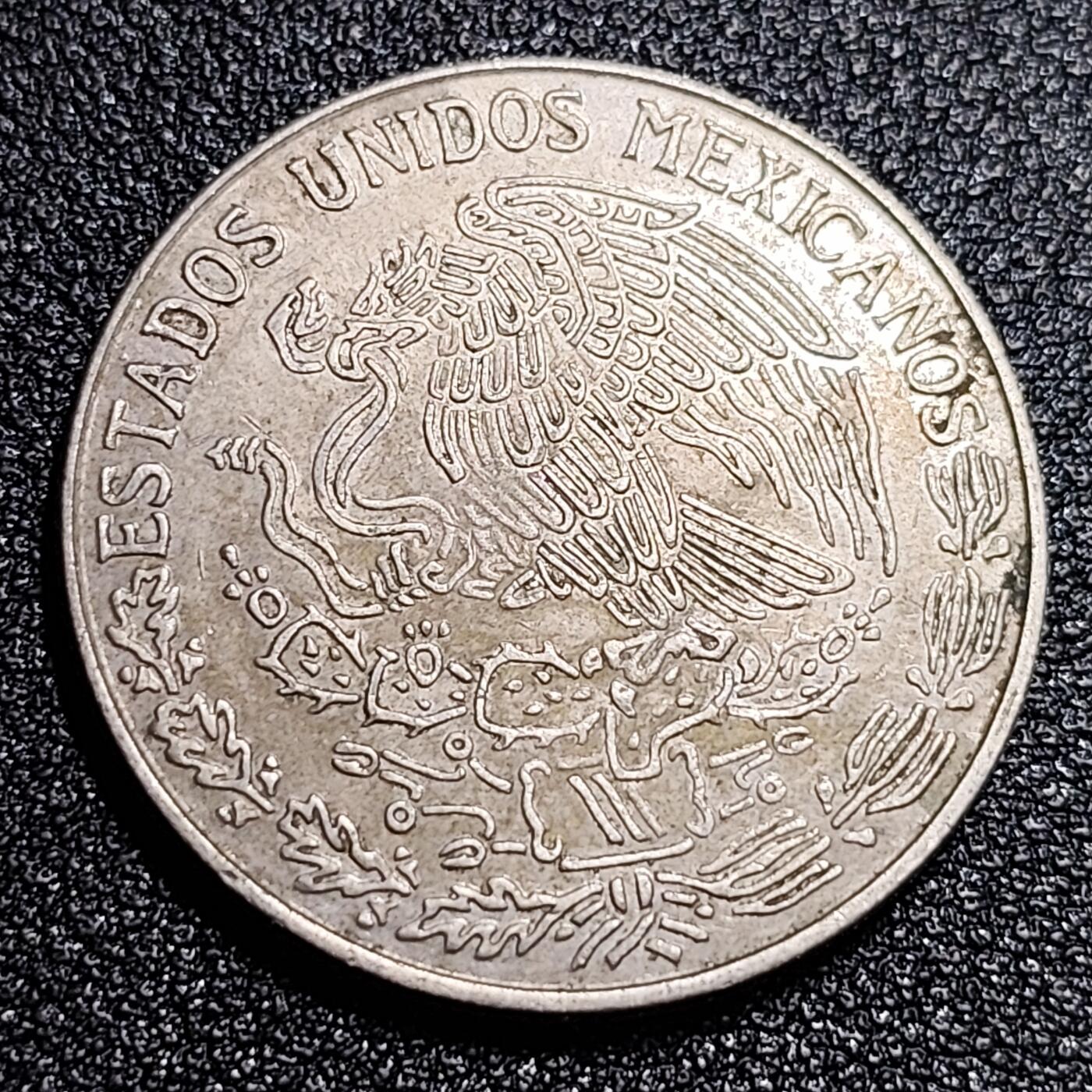 泉币菌-第56场-各国散币场