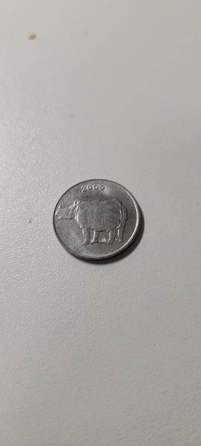 2025第二十期 印度25派沙硬币 犀牛 2000年