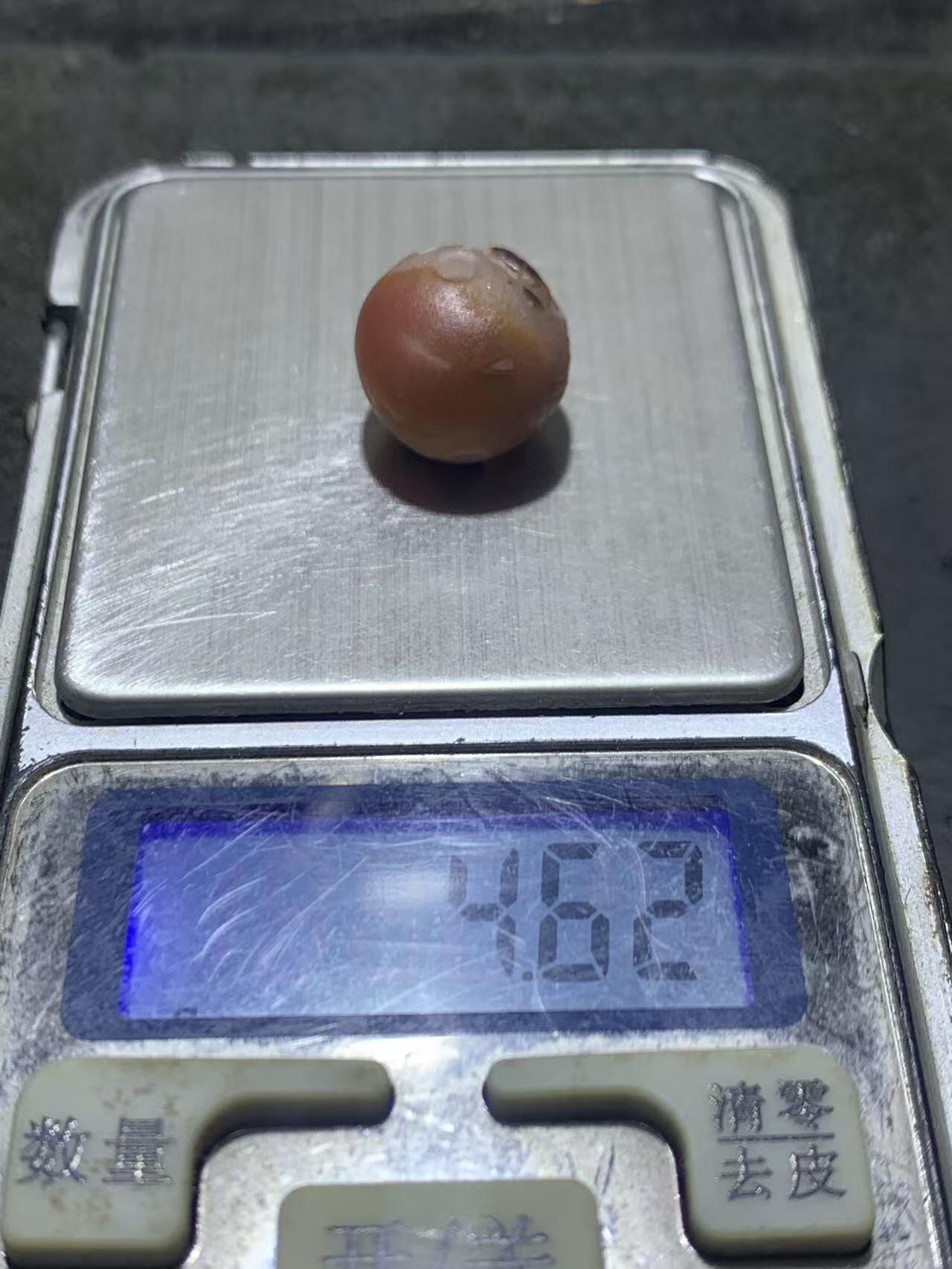 精美亚光原皮冰飘战国红玛瑙手工俏色巧雕鹦鹉珠子一颗！