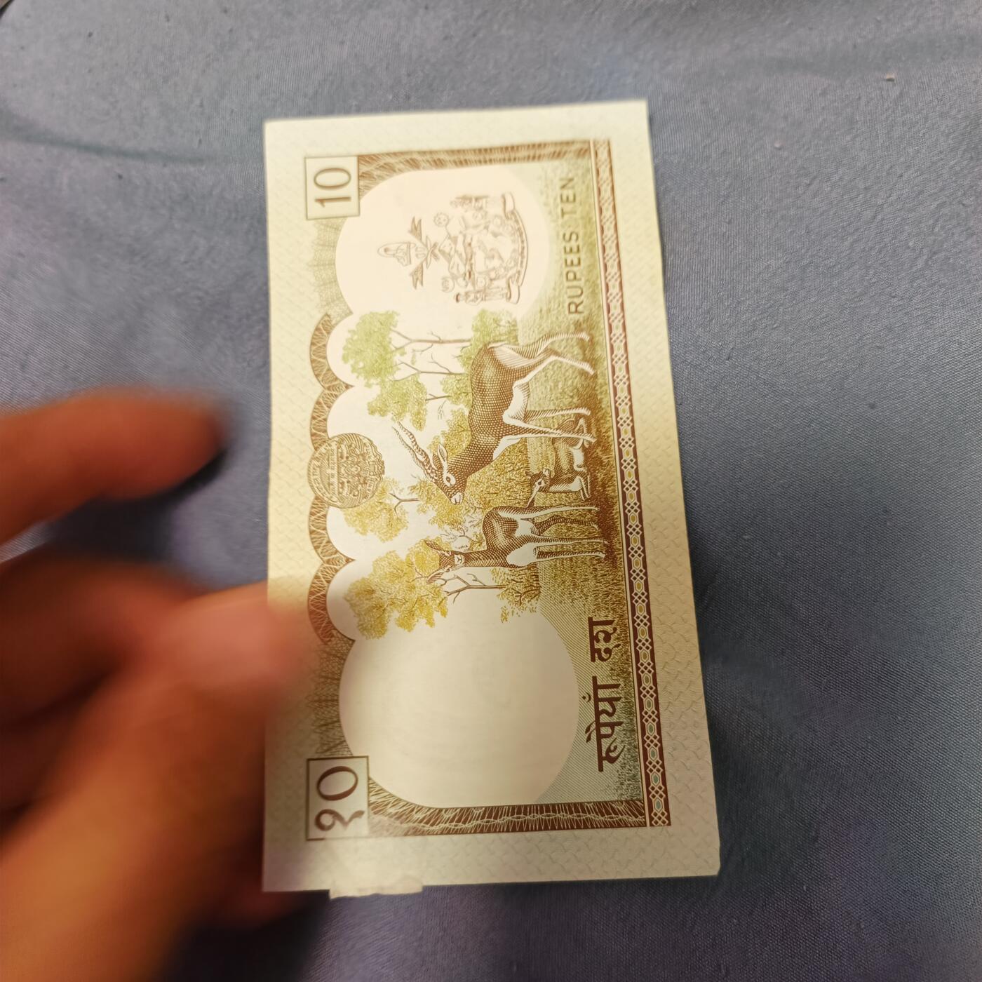 泡泡币外币第六十一场可代拍15038385335微信 尼泊尔
