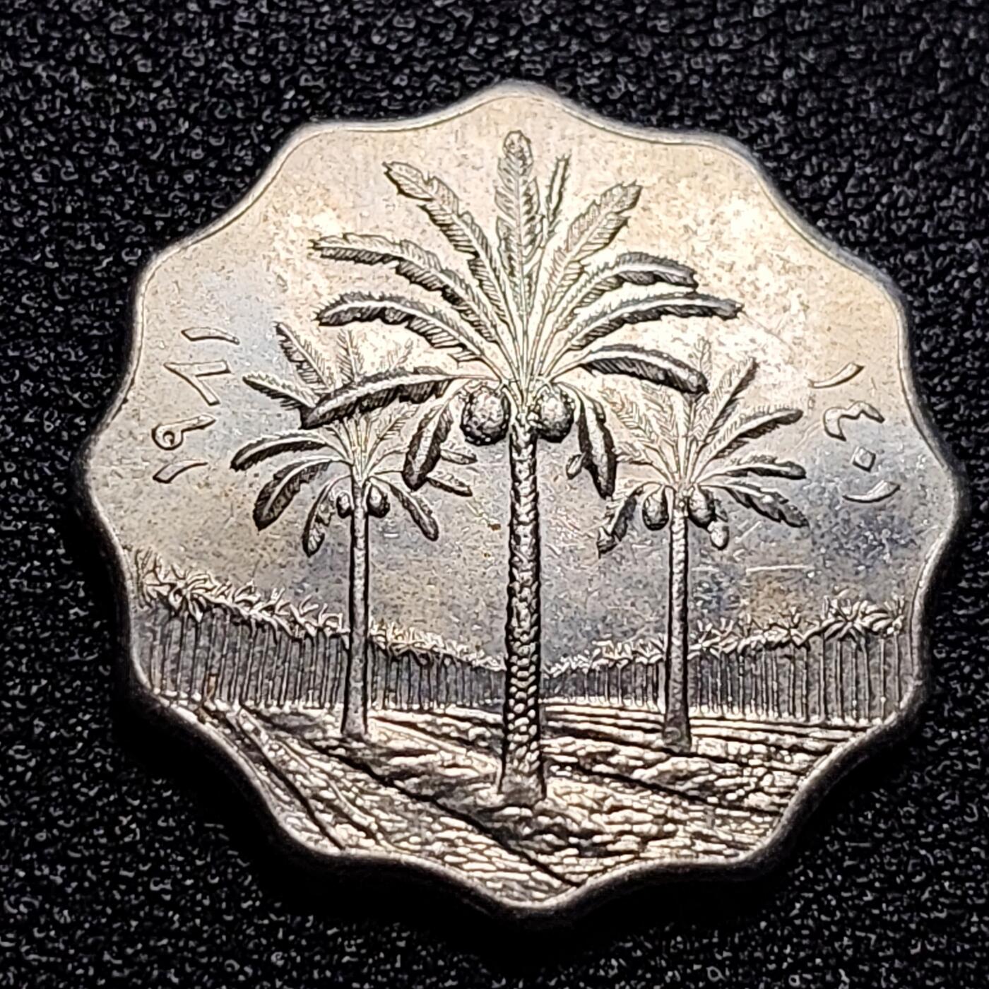 泉币菌-第57场-各国散币场 带光美品 伊拉克10费尔镍币硬币 24mm