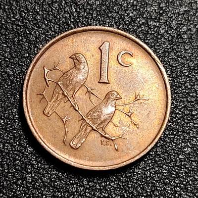 泉币菌-第56场-各国散币场 - 南非 1C分 1966年 青铜硬币 小鸟 麻雀 19mm