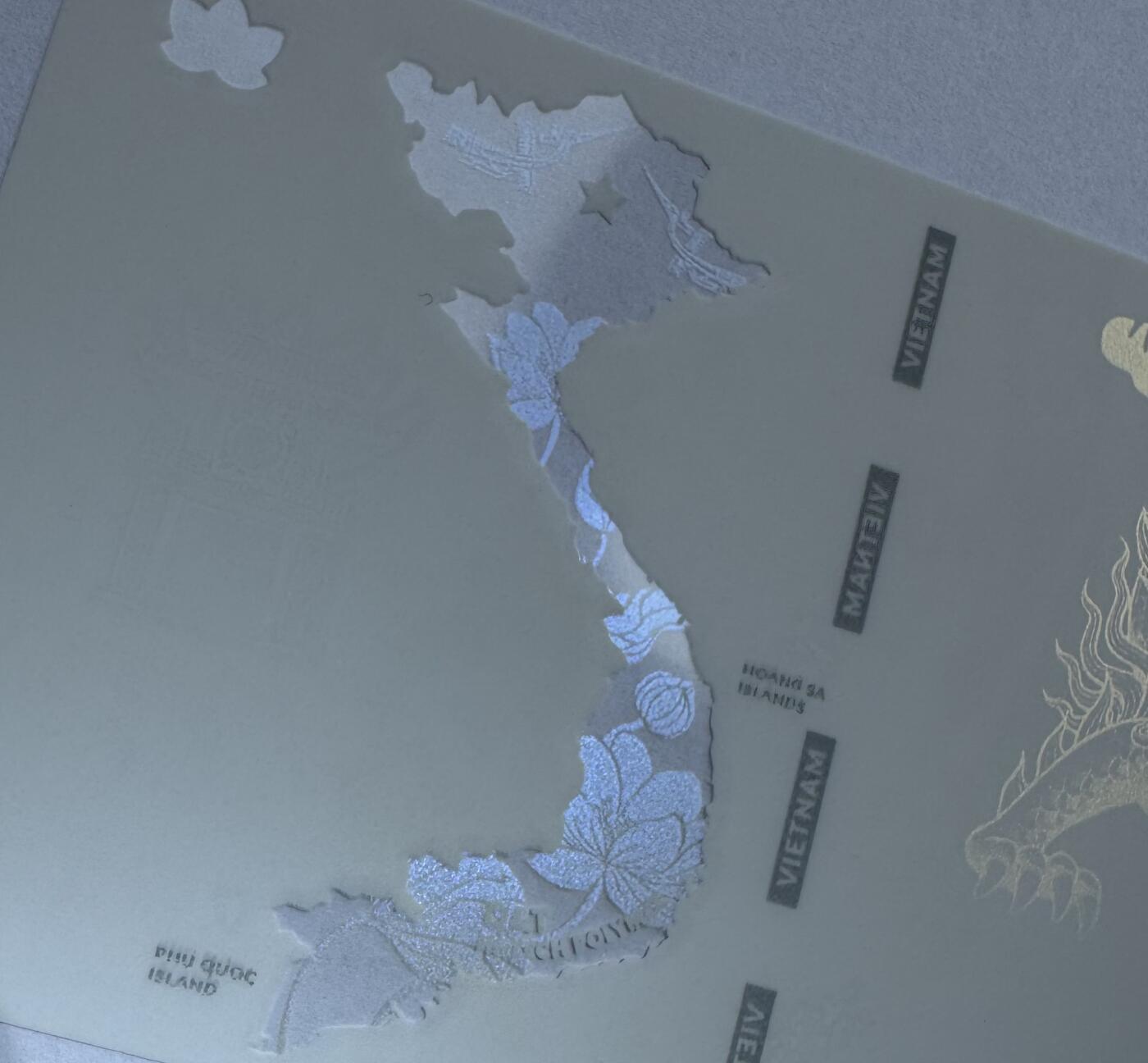 2025第19场（总第219期）：精品测试钞、外钞综合场 