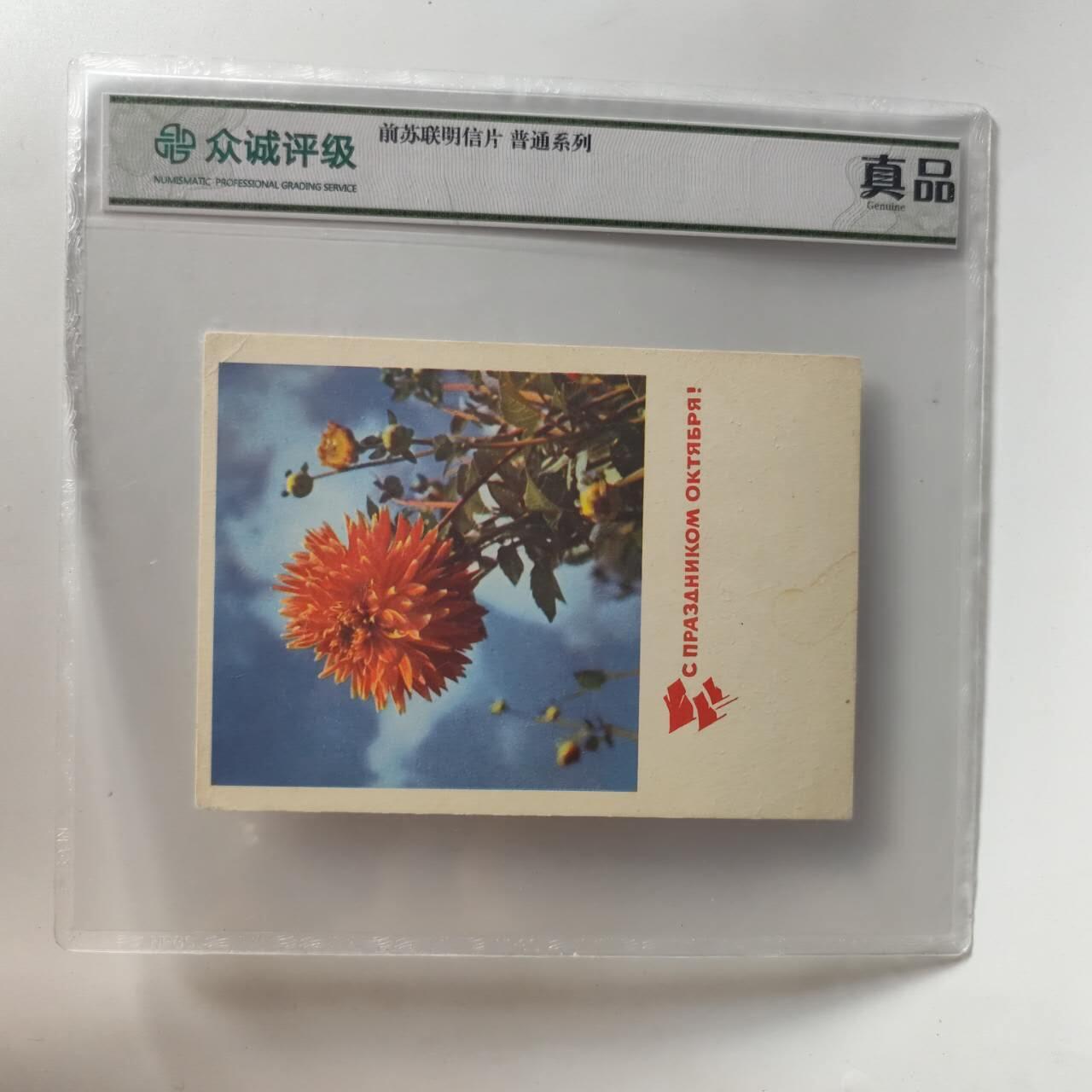 7月第2拍 7.19晚上9点结束9(明天继续更新）