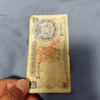 泡泡币外币第六十一场可代拍15038385335微信 - 新加坡一刀