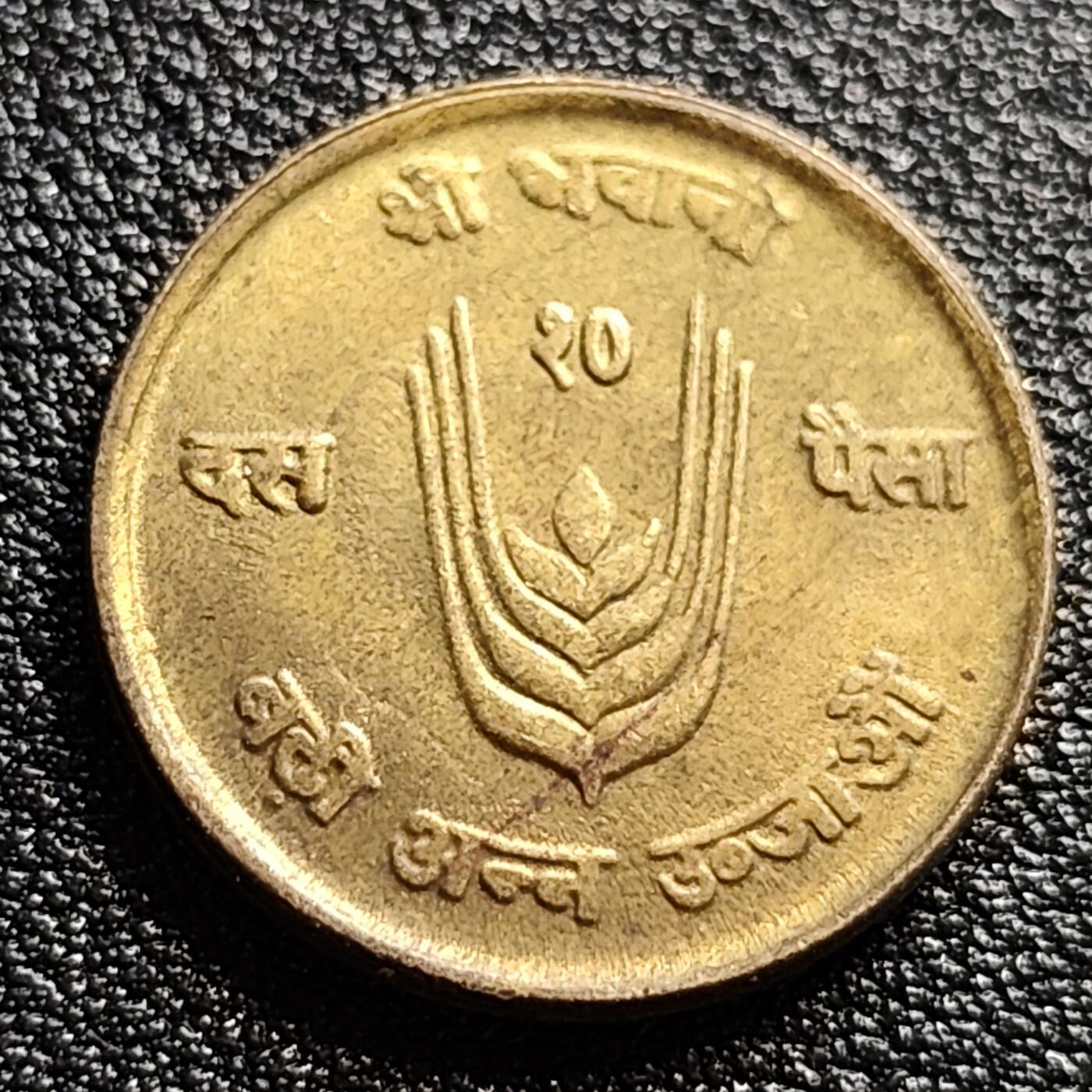 泉币菌-第57场-各国散币场 少见 尼泊尔1971年10派沙 FAO 农粮组织 黄牛 纪念币 黄铜币 21mm D