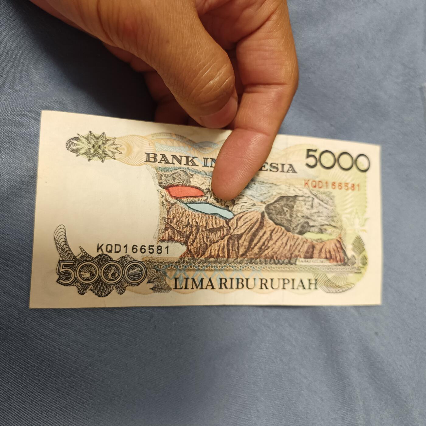 泡泡币外币第六十一场可代拍15038385335微信 印尼5000