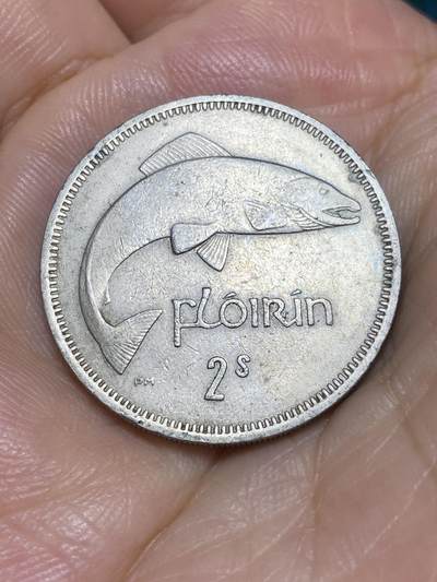 2025年第六十八场(总第九十四场）外国好品散币(免佣金) - 爱尔兰🇮🇪1959年1弗洛林(等值2先令，共和国时期第一套第二版，铜镍材质)