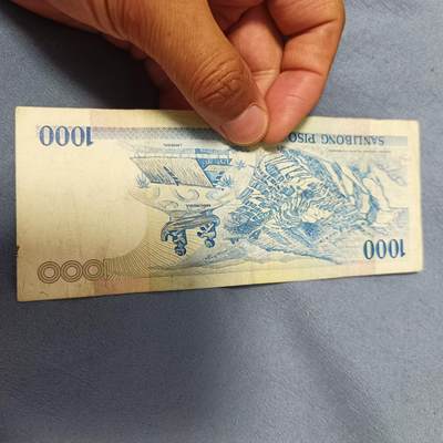 泡泡币外币第六十一场可代拍15038385335微信 - 菲律宾1000