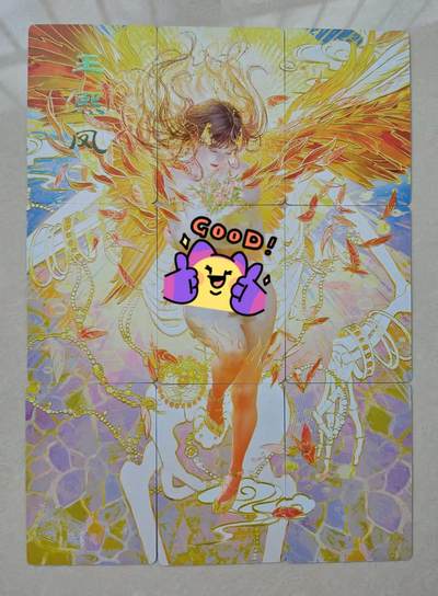 花开卡拍第31期（7月20号周日截拍，品控勿拍!!!拍品不寄存，运费5元，自制卡难免瑕疵，可能存在轻微撞角爆边等出厂瑕疵，品控介意勿拍！） - 燎原 人间传 王熙凤 九拼卡