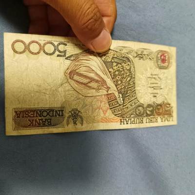泡泡币外币第六十一场可代拍15038385335微信 - 印尼5000