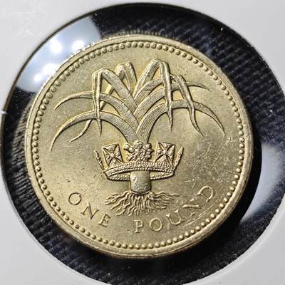 KK钱币收藏小铺 第310期 2月预留时间 周末发货 - 1990英国1镑 好品