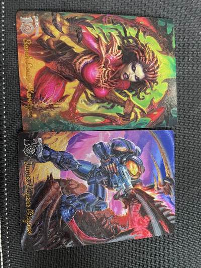 寸草不生扫货团拍卖 第三期 - 奇点卡牌 魔兽世界2张