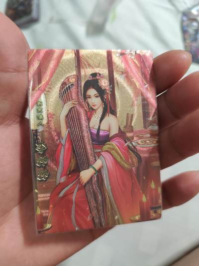 神州群英志 粗闪 李师师 - 神州群英志 粗闪 李师师