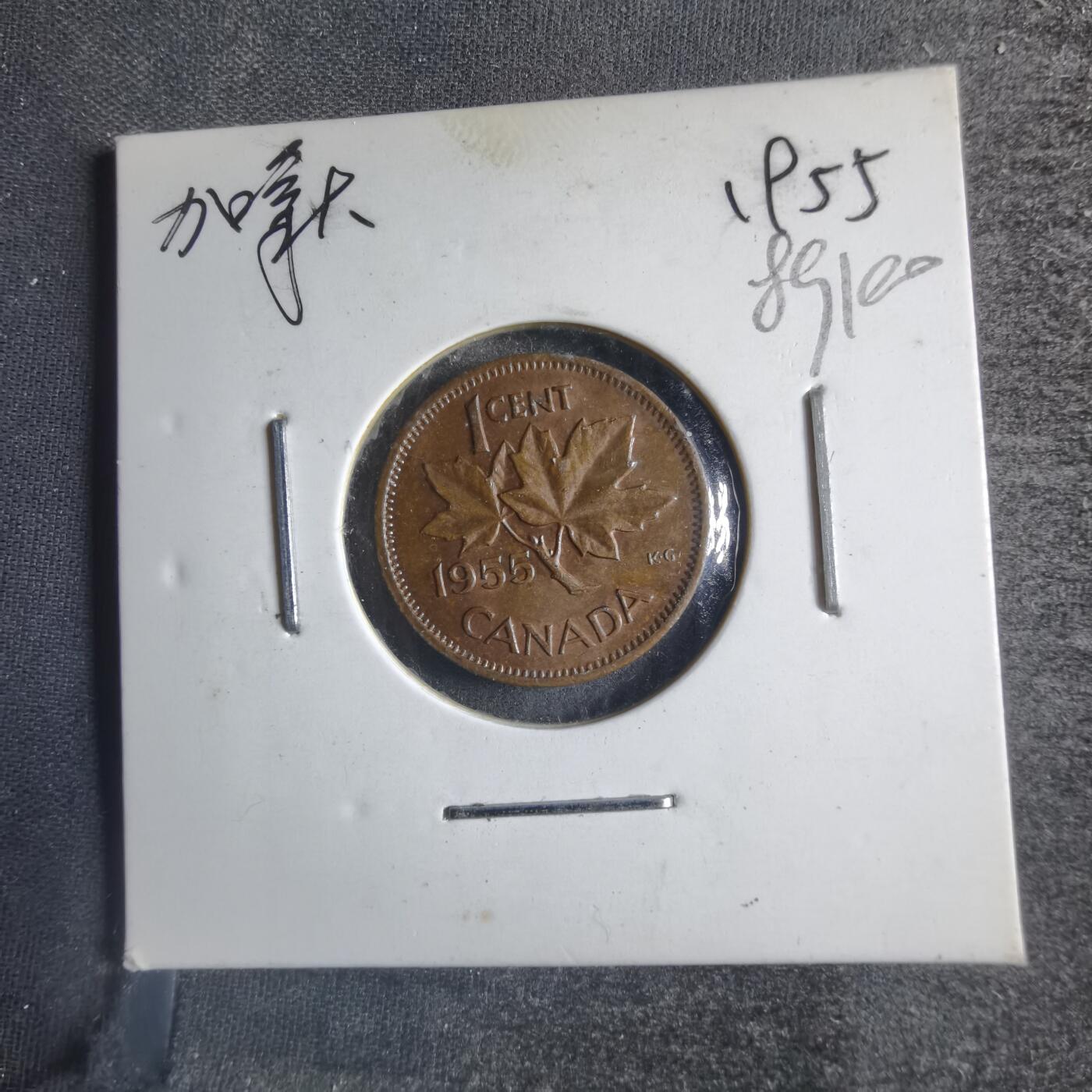 沼泽如烟--第789场