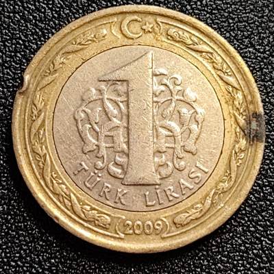 泉币菌-第59场-各国老币铜币场 土耳其1里拉双色币 凯末尔总统 26mm