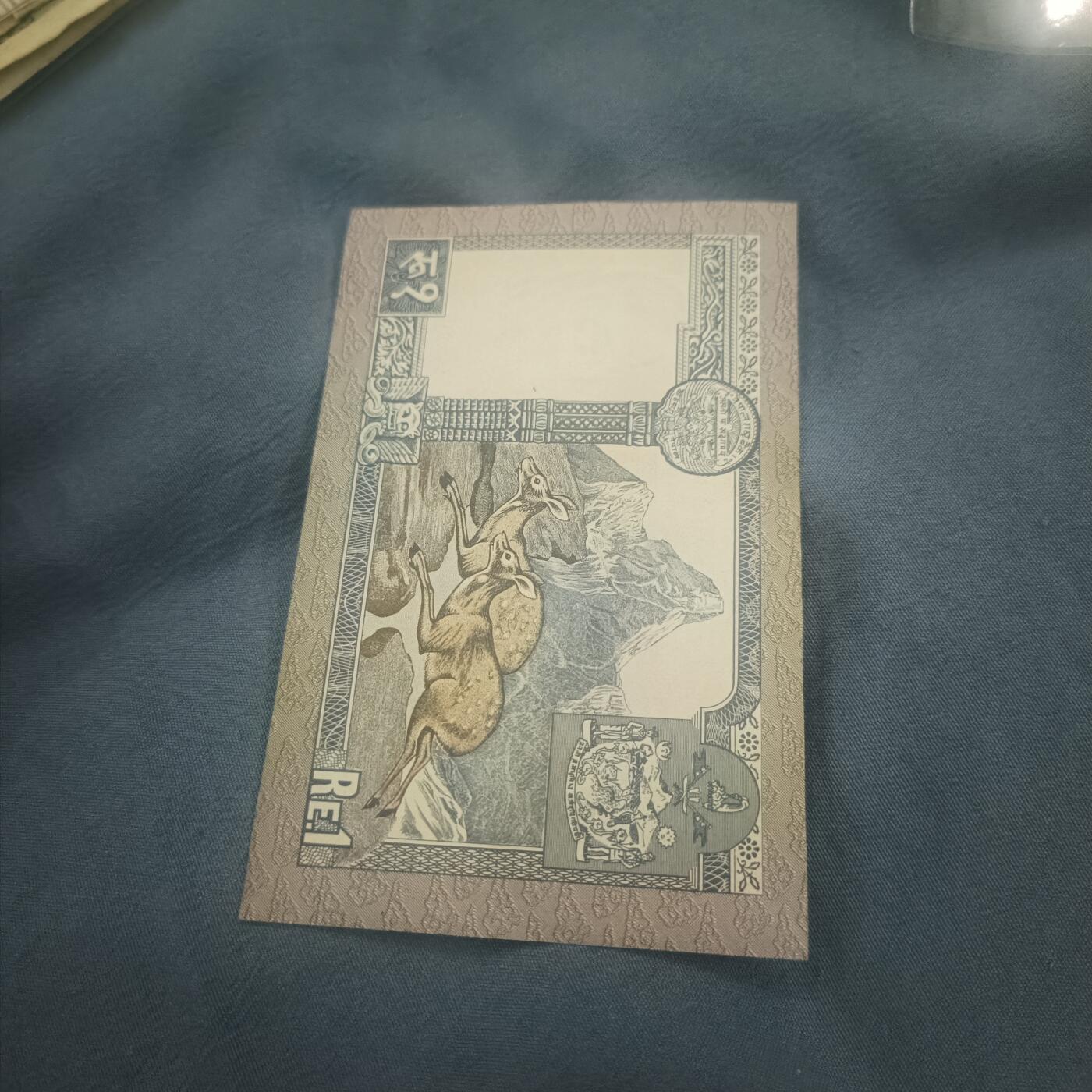 泡泡币外币第六十二场可代拍15038385335微信 尼泊尔