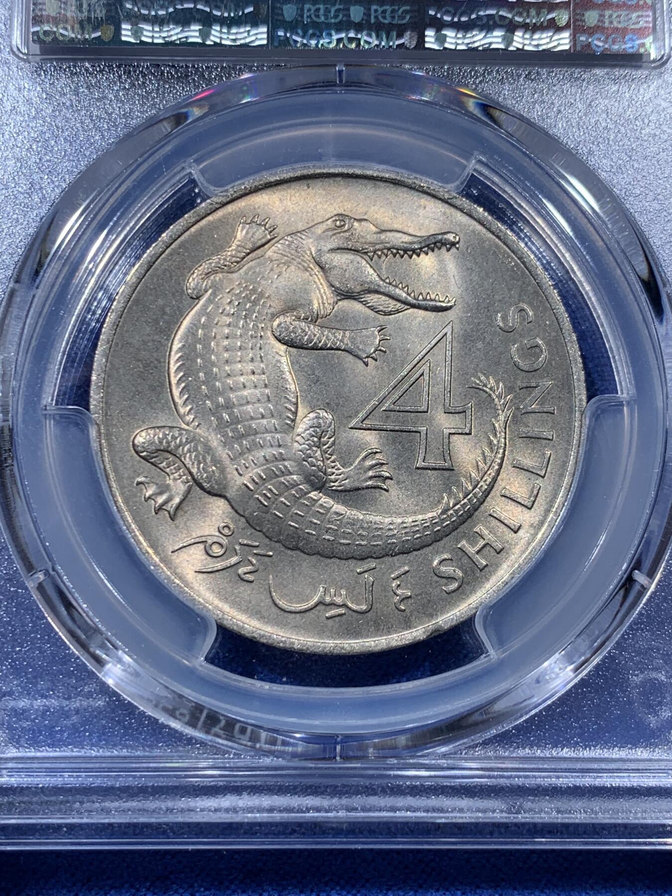 《竞宝斋》第403场 周日，周一，2场连拍 （全场包邮） PCGS MS64 冈比亚1966年4先令大鳄鱼 热门品种 两面转光 卷拆品相 好品比较少