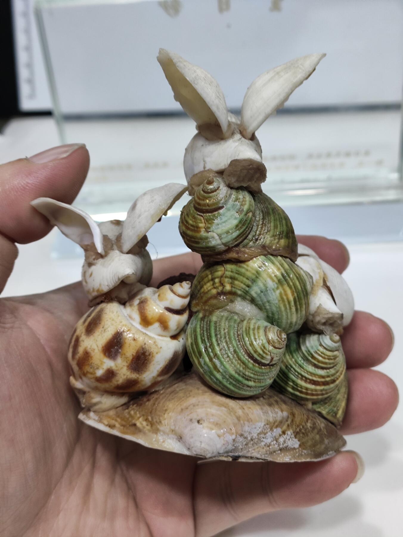 杂七杂八