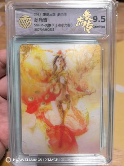 寸草不生扫货团拍卖 第三期 - 燎原三国豪杰传刷子孙尚香动态光栅卡9.5分