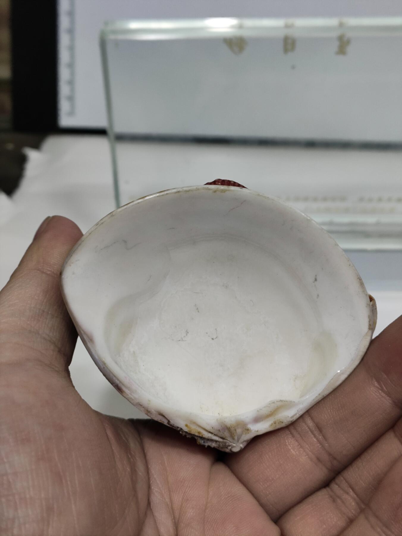 杂七杂八