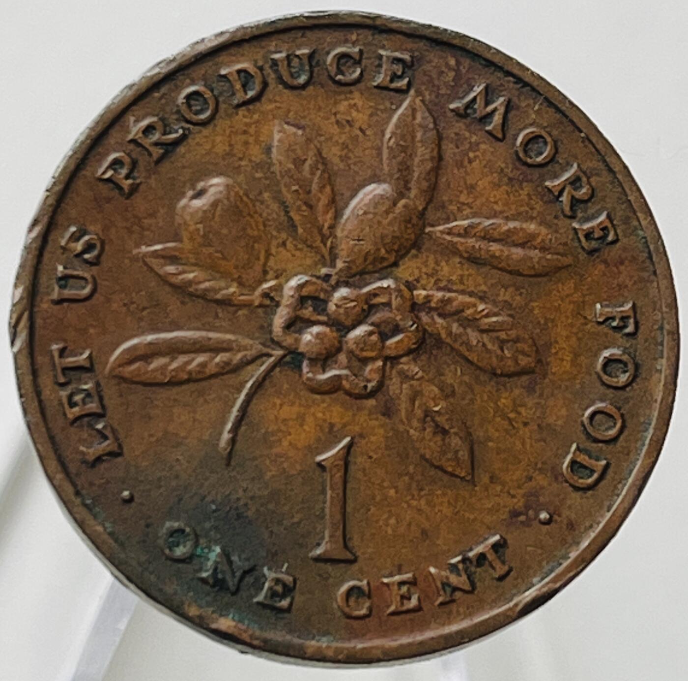 神仙姐姐-中外币专场18 1973年牙买加1分