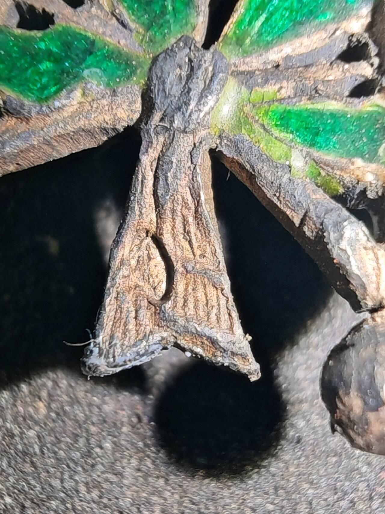 凯旋世界勋赏（第15期）（欢迎送拍）（对拍品有疑问请询问客服，不接受到手刀，出价默认拍品品相。请认真阅读拍卖规则！出价默认已认可！）（收到货请录制开箱视频，无视频概不处理问题。） 法国荣誉军团勋章勋章核心金制，打金银合标21.9g