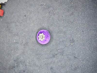 凯旋世界勋赏（第15期）（欢迎送拍）（对拍品有疑问请询问客服，不接受到手刀，出价默认拍品品相。请认真阅读拍卖规则！出价默认已认可！）（收到货请录制开箱视频，无视频概不处理问题。） - 协会徽章略