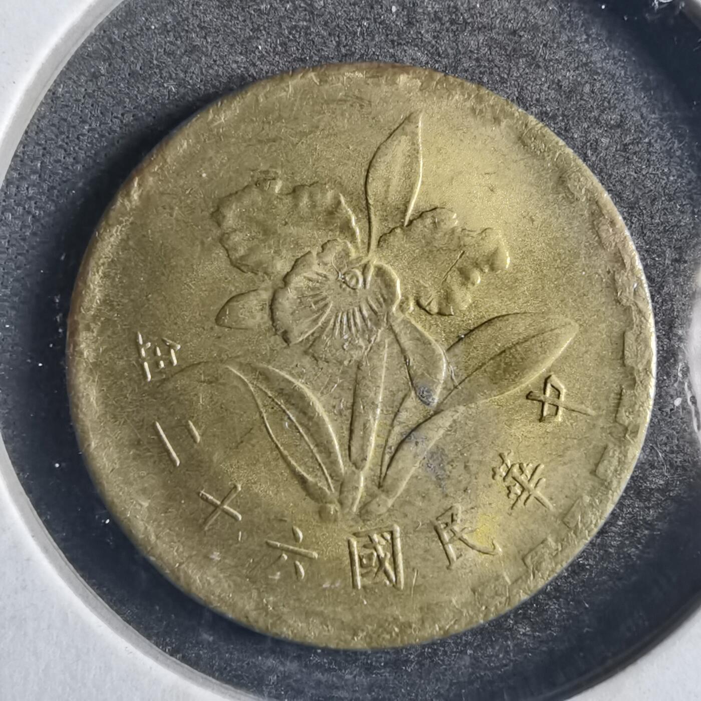 沼泽如烟--第789场