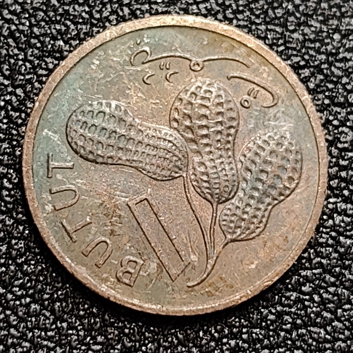 泉币菌-第59场-各国老币铜币场 冈比亚 1971年1布图硬币 首任总统国父贾瓦拉头像 花生