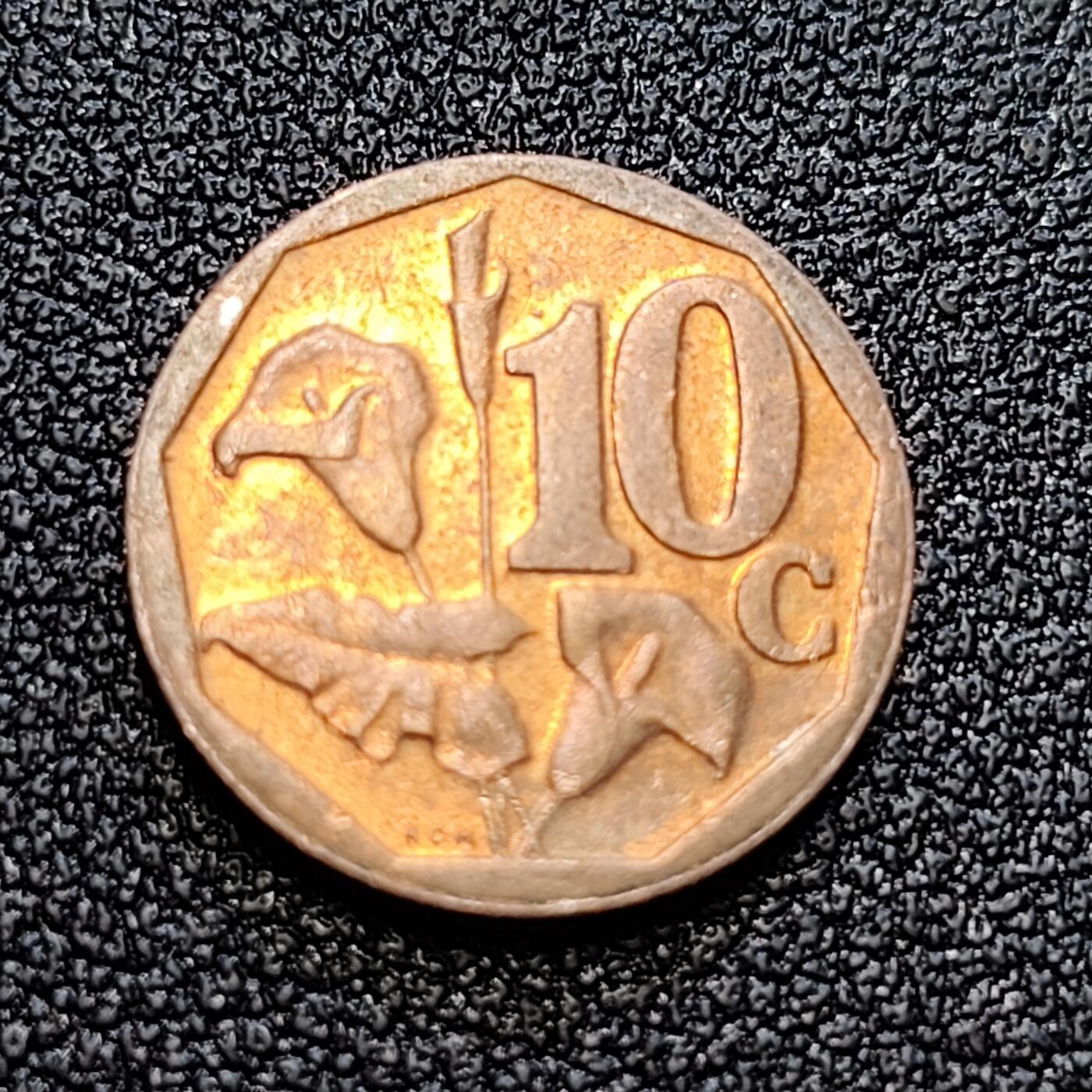 泉币菌-第58场-各国老币铜币场 南非10分小硬币 16mm 海芋百合 