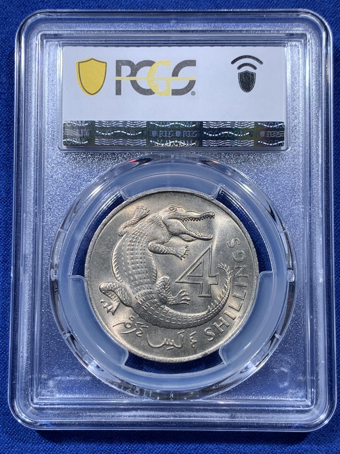 《竞宝斋》第403场 周日，周一，2场连拍 （全场包邮） PCGS MS64 冈比亚1966年4先令大鳄鱼 热门品种 两面转光 卷拆品相 好品比较少