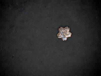 凯旋世界勋赏（第15期）（欢迎送拍）（对拍品有疑问请询问客服，不接受到手刀，出价默认拍品品相。请认真阅读拍卖规则！出价默认已认可！）（收到货请录制开箱视频，无视频概不处理问题。） - 日本胸针