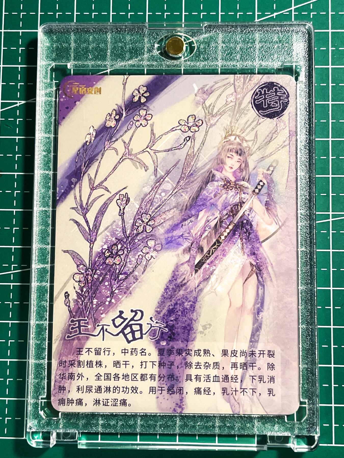 显眼宝24期 个人精选 【带卡砖】特卡一张 王不留行（草药名）磨砂彩闪 1张 63*88 