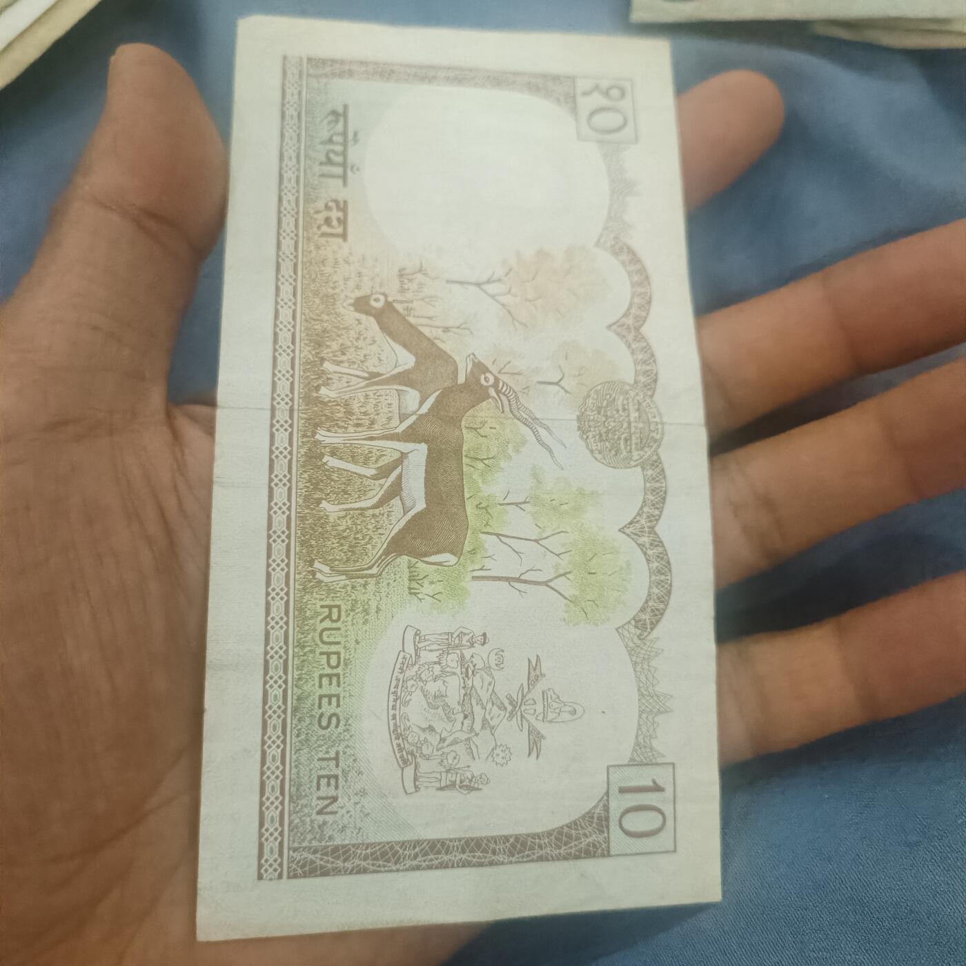 泡泡币外币第六十二场可代拍15038385335微信 尼泊尔十