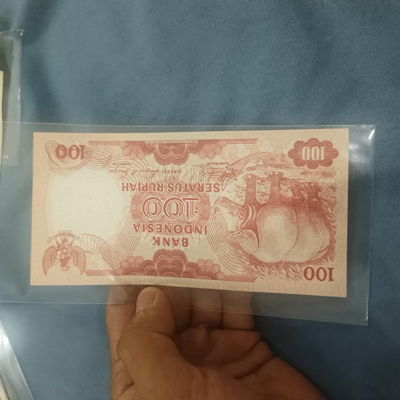 泡泡币外币第六十二场可代拍15038385335微信 印尼100