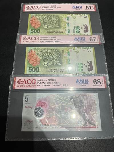 《外钞收藏家》第五百四十九期（本期品种丰富）（本平台长期征集拍品、欢迎藏友们联系合作） - 阿根廷500两张+马尔代夫2面额 一起 全部是永恒号 爱藏评级