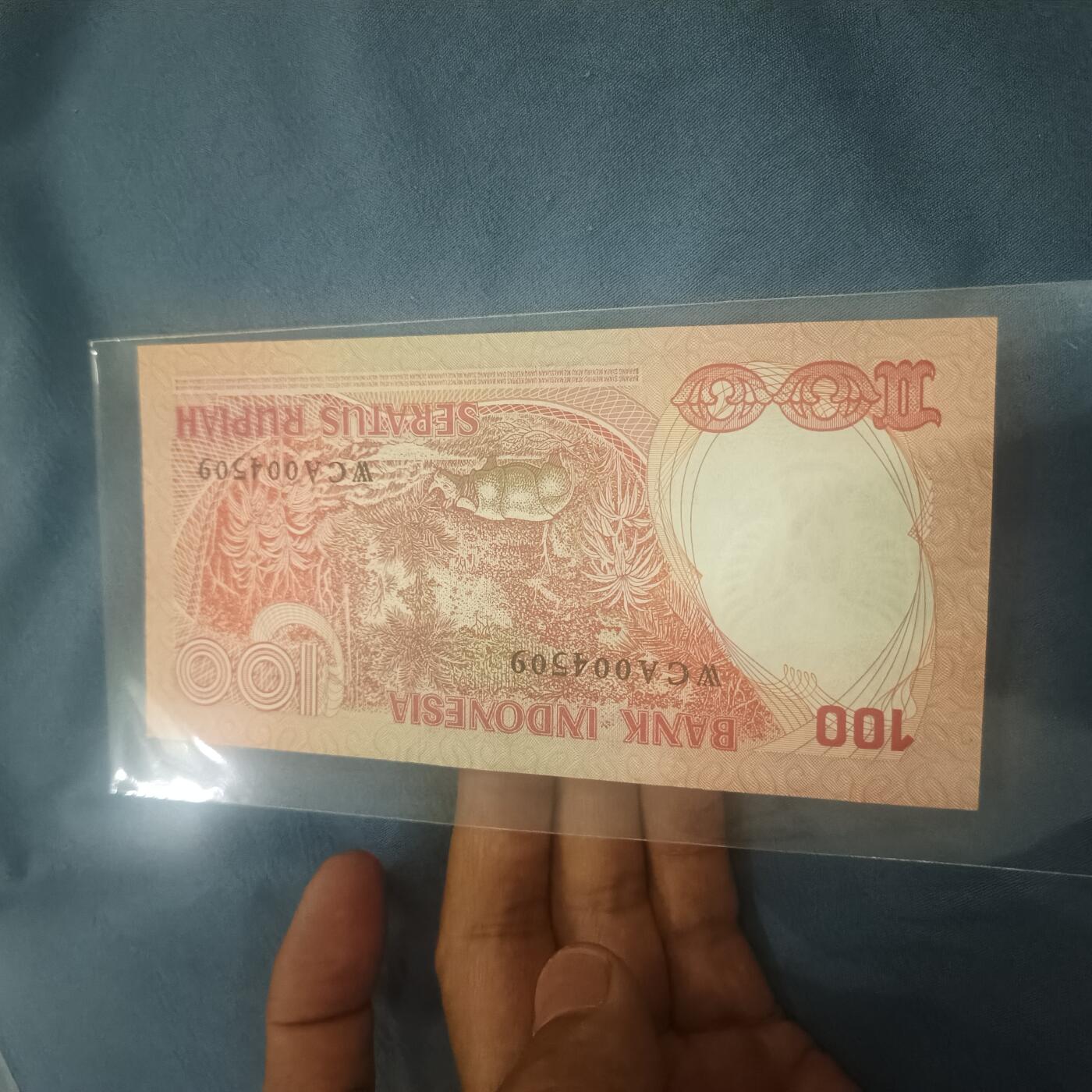 泡泡币外币第六十二场可代拍15038385335微信 印尼100