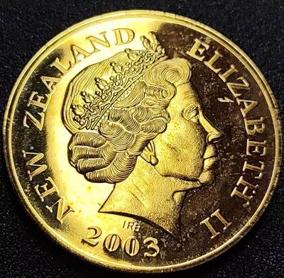 泉币菌-第59场-各国老币铜币场 金色纪念章 魔戒指环王纪念章 女王  40mm