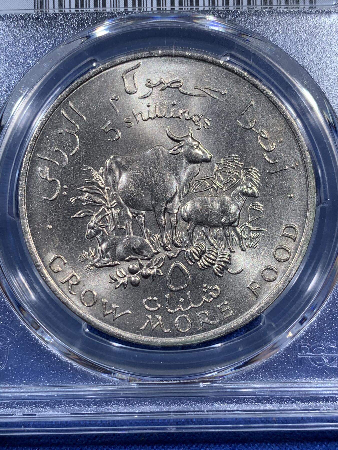 《竞宝斋》第404场 周日，周一，2场连拍 （全场包邮） PCGS MS66 索马里1970年5先令FAO农粮纪念币 亚军分 此品种币面多见有划伤，高分不易