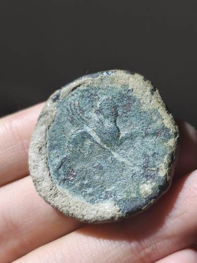 古罗马西班牙地区卡斯图洛铜币卡斯图洛(Castulo)，位于今西班牙安达卢西亚自治区的曼恩省利纳雷斯市附近。极其厚重有手感的一枚，重35.8克硬壳锈，整体风格粗犷正面罗马公民，背面狮鹫非常厚重，少见品，硬壳锈包浆