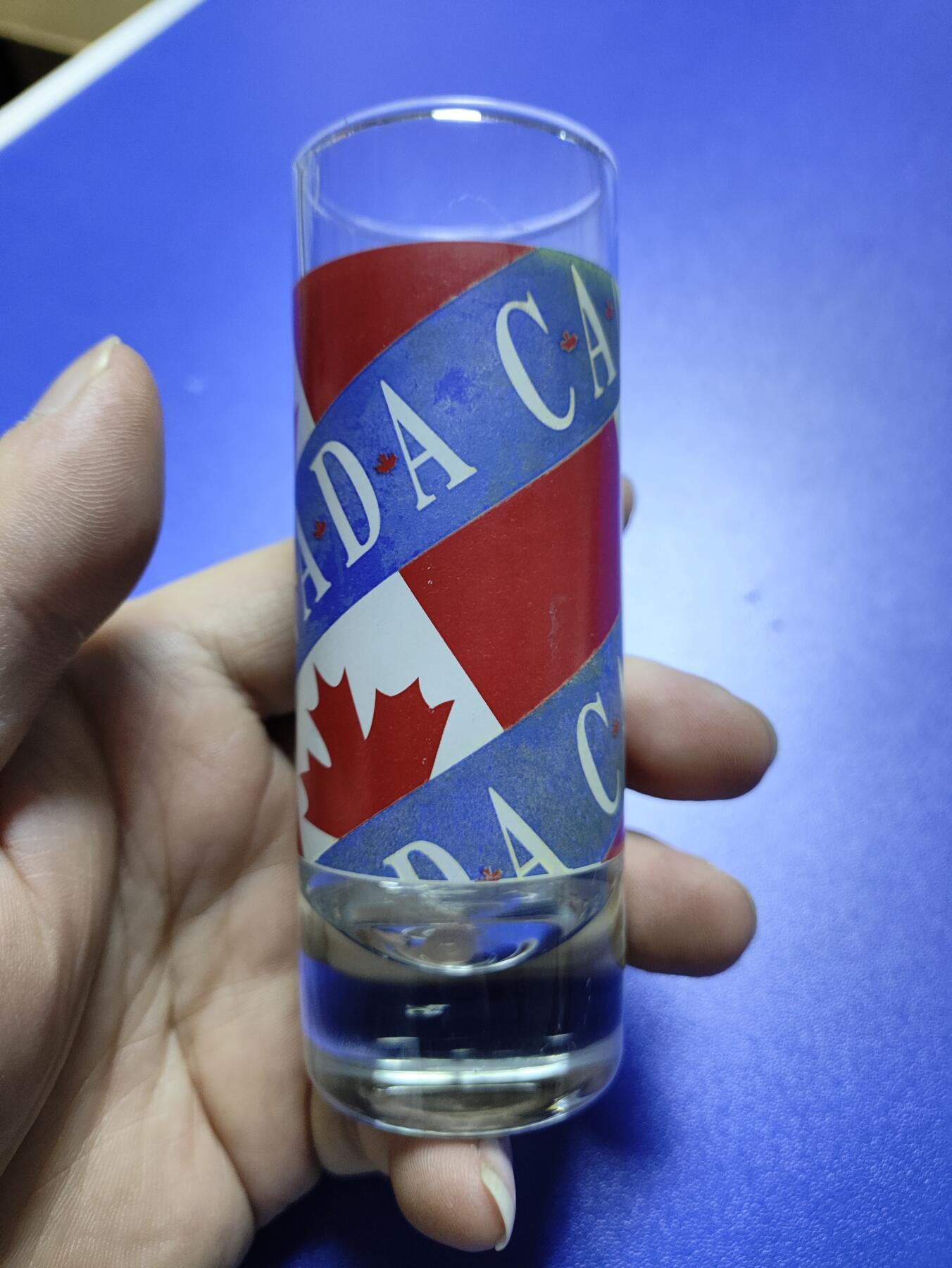 搬档清货：杂七杂八A 加拿大旅游背回纪念品：口杯，小酒杯