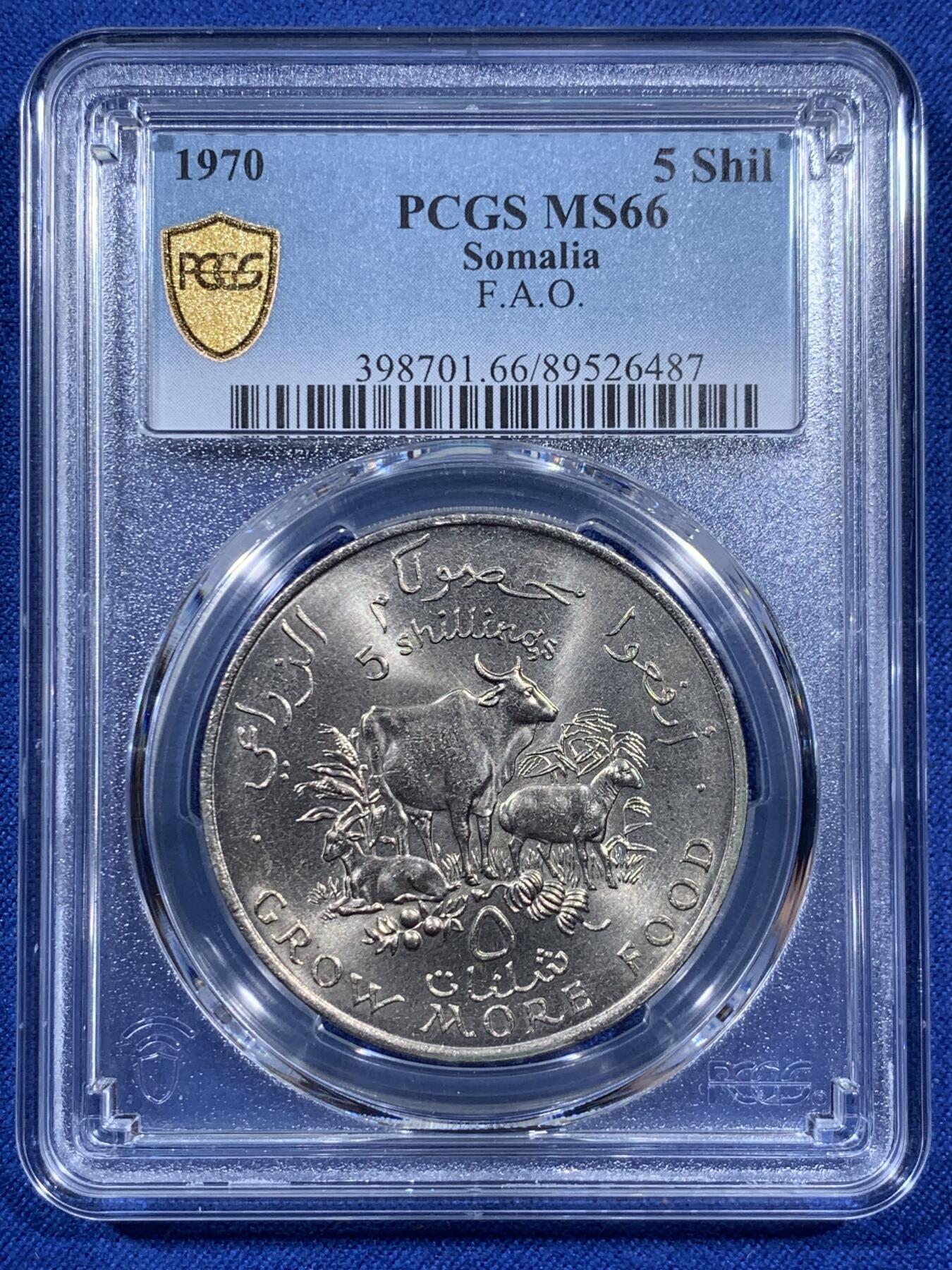 《竞宝斋》第404场 周日，周一，2场连拍 （全场包邮） PCGS MS66 索马里1970年5先令FAO农粮纪念币 亚军分 此品种币面多见有划伤，高分不易