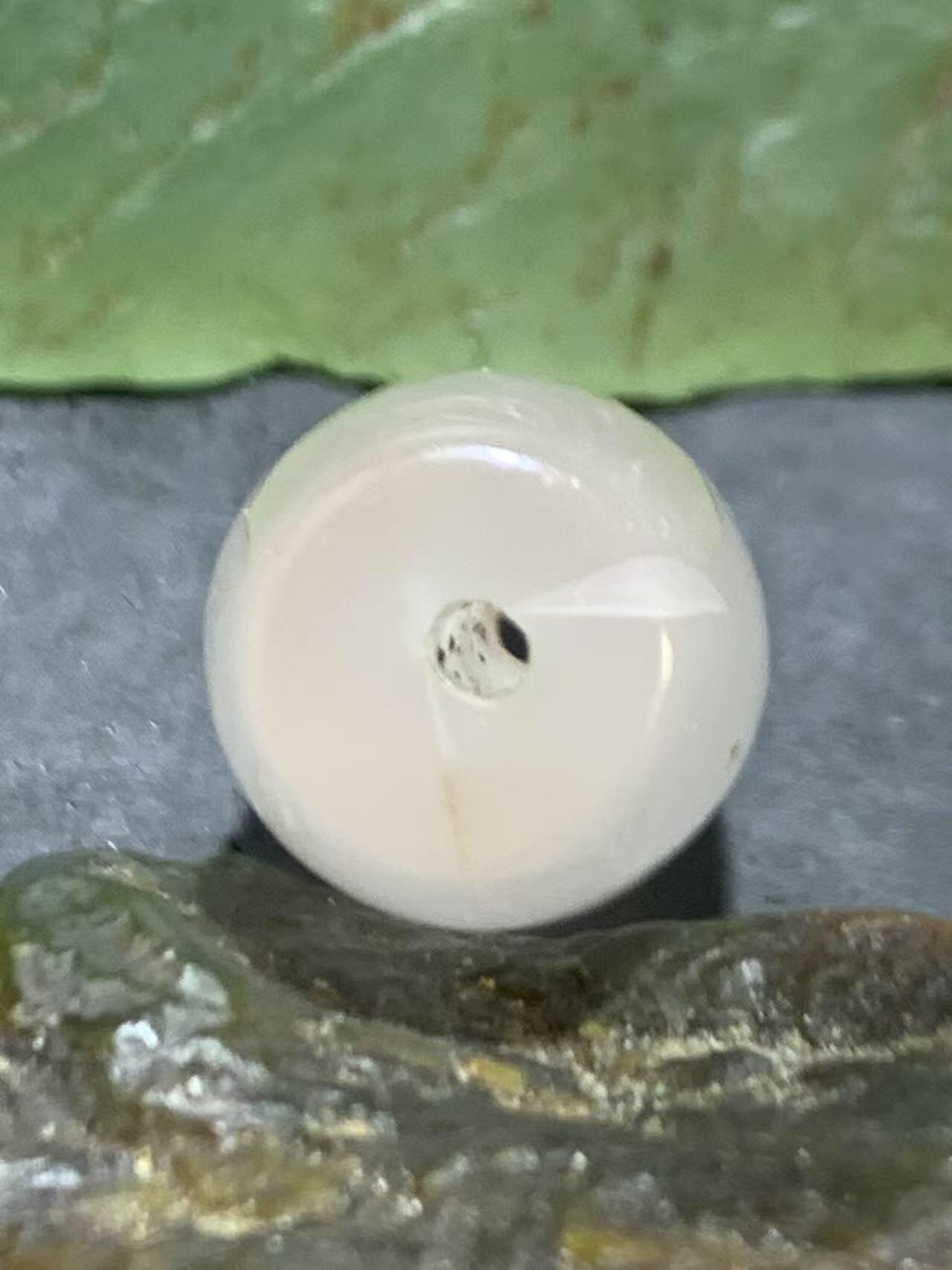 川料南红玛瑙荔枝冻飘红通货桶珠一颗！，