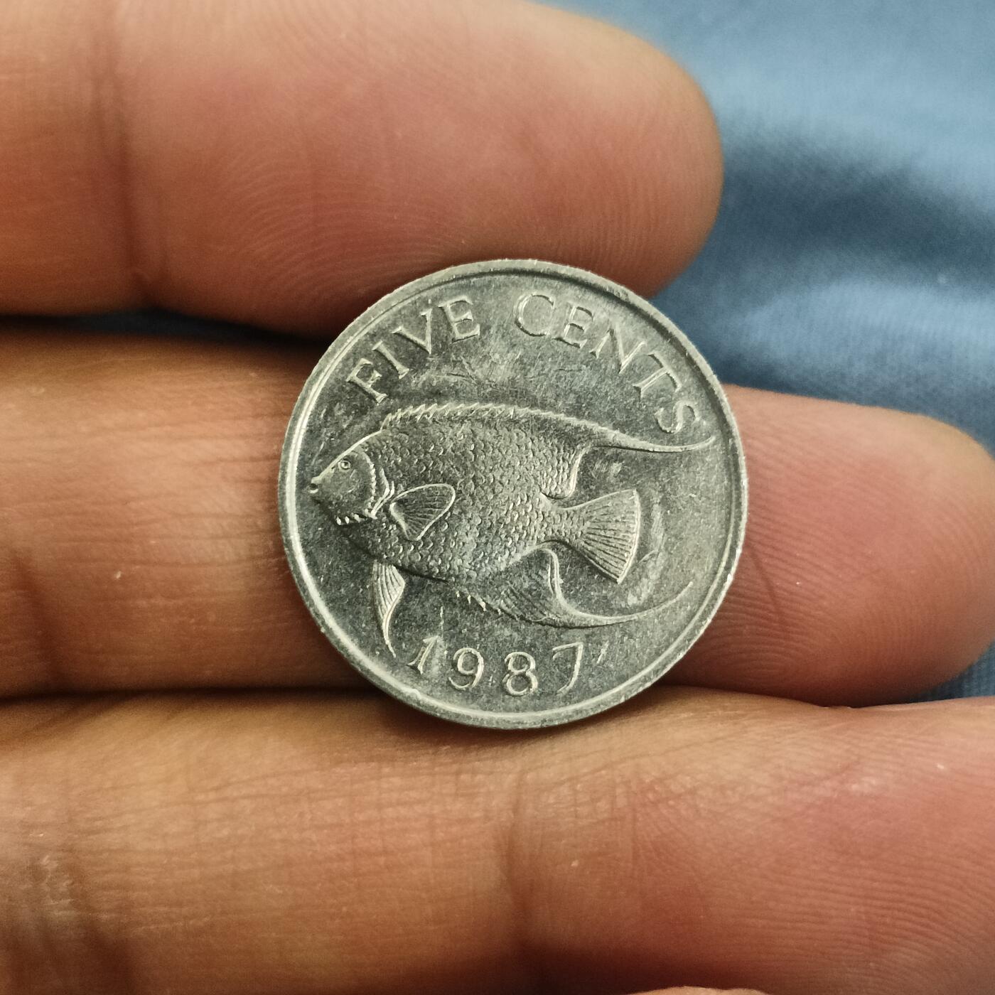 泡泡币外币第六十三场可代拍15038385335微信