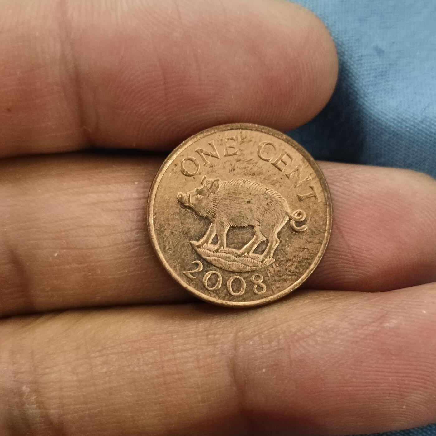 泡泡币外币第六十三场可代拍15038385335微信 百慕大一分老年